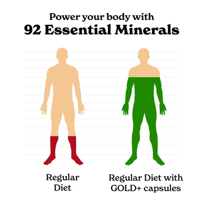 BetterAlt GOLD+ Shilajit, Ashwagandha & Sea Moss Capsules | Lab-Tested for Purity | Helps Boost Energy & Immunity | 2-Month Pack